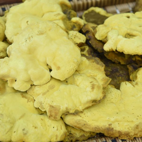 nam thuong hoang han quoc 500gr 3