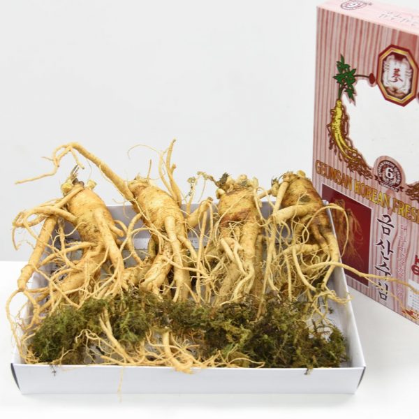Nhan sam tuoi han quoc 4cu 1kg 2