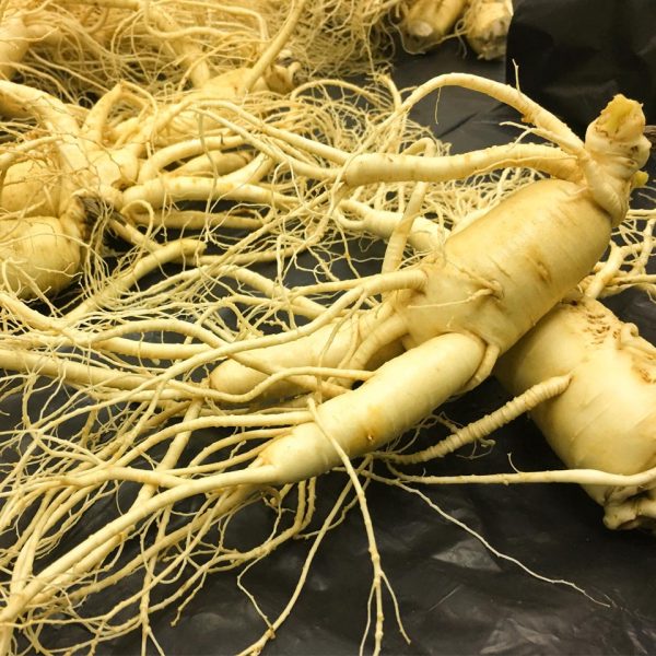 Nhan sam tuoi han quoc 4cu 1kg 5
