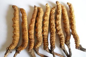 Trẻ nhỏ có uống được đông trùng hạ thảo không?